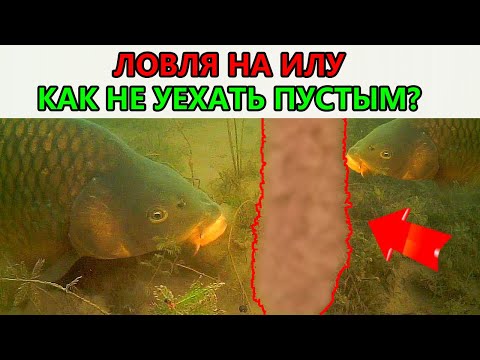 Видео: Если вы НЕНАВИДИТЕ ил — срочно смотрите это! Как заставить его работать