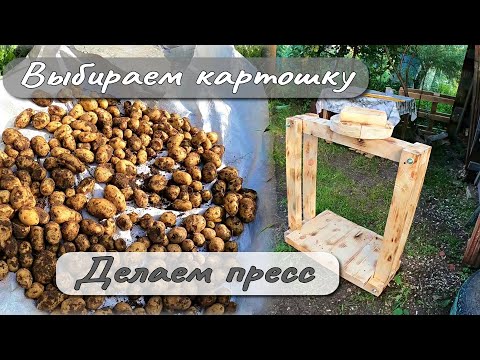 Видео: ВЫБИРАЕМ КАРТОШКУ ДЕЛАЕМ ПРЕСС