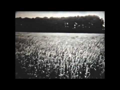 Видео: «Почва» (Школфильм, 1989 г.)