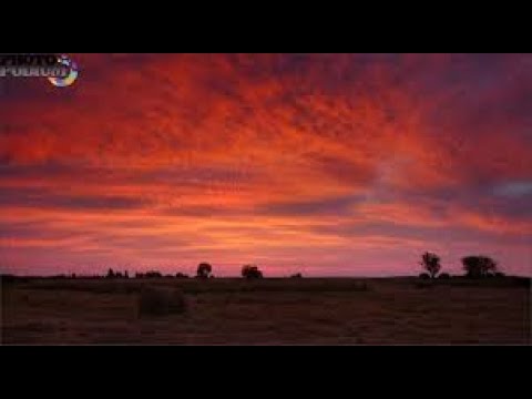 Видео: Там вдали, за рекой