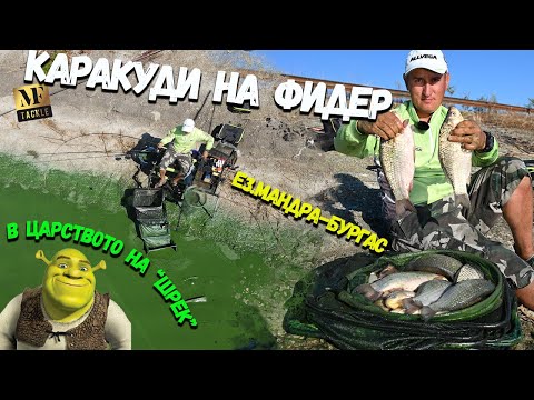 Видео: Фидер риболов на каракуди - Feeder Fishing