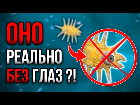 Видео: Можно ли пройти Spore, если у тебя НЕТ глаз и ног?