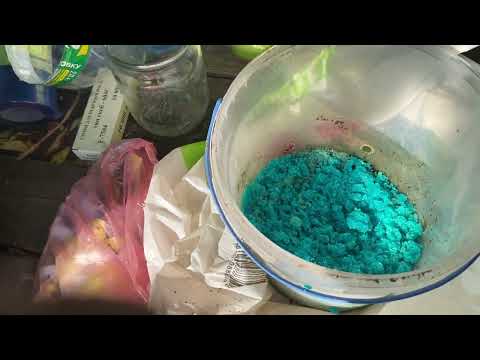 Видео: Главная подкормка годичных саженцев винограда высаженных на постоянное место. Чем, когда, сколько