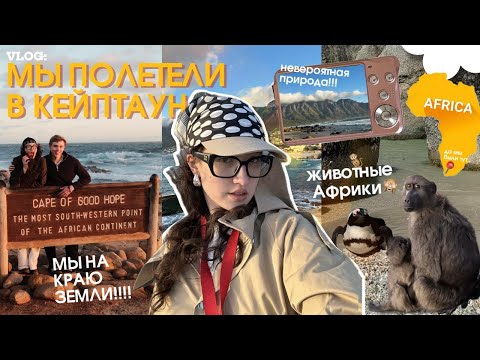 Видео: КЕЙПТАУН: африканские приключения на краю земли // ЮАР  🌺🦓🇿🇦