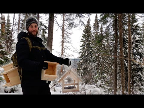 Видео: Птицы в шоке! Установка кормушек на Таёжной тропе. День 3
