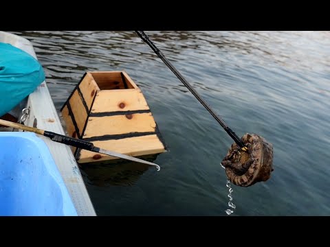 Видео: Божественное мастерство человека, который 5 лет занимается ловлей голотурий