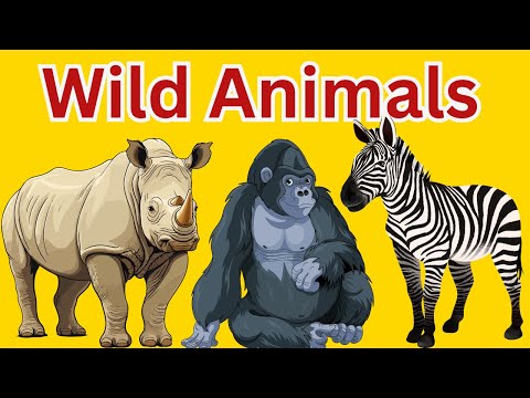 Видео: Дикие животные для детей | Изучаем названия и звуки животных в джунглях!