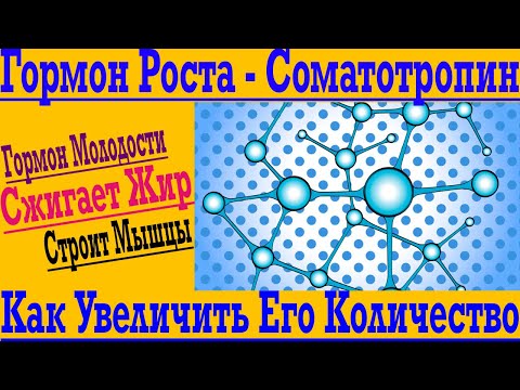 Видео: Как Увеличить Объём ГОРМОНА РОСТА ! ЖироСжигающий Секрет Молодости и Красивого Тела !