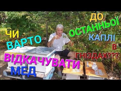 Видео: #бджоли Все про напад. Стимуляція. Серветки від кліща.