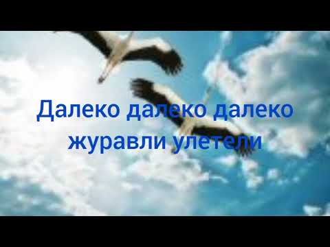 Видео: Далеко далеко далеко журавли улетли Русавук Песня Журавли