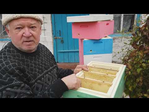 Видео: Обзор нуклеуса Измайлова.