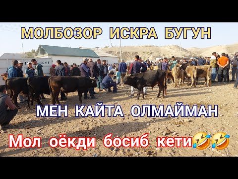 Видео: ИСКРА МОЛБОЗОРИ БУГУН #ДАХШАТЛИ БУЛДИ ОЁКДИ МОЛ БОСИБ КЕТИ БУ СИЗЛАРГА ЁКМАСА КЕРАК 😂🫣КУРИБ 🥲🥲