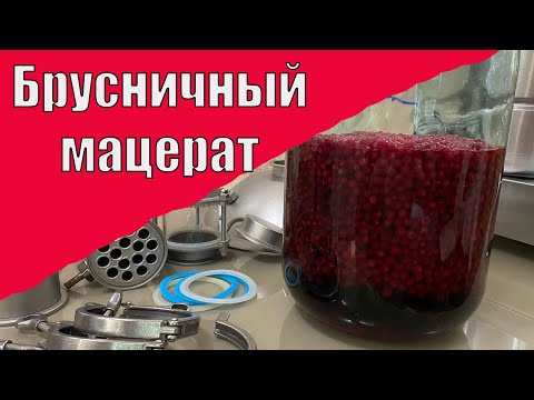 Видео: Рецепт брусничного мацерата, все тонкости приготовления мацерата от А до Я. (LUXSTAHL 8M).