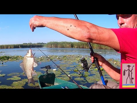 Видео: Вечером прикормив місце а з ранку насмалив карасів #РибачуЯкУмію