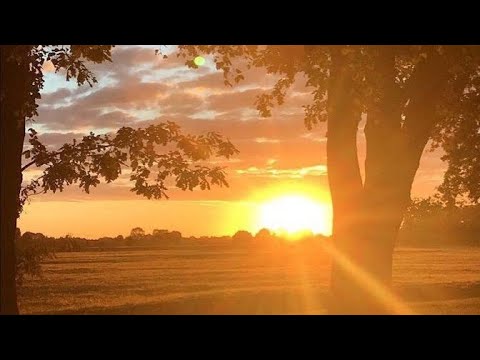 Видео: 4 часть. Что хочет сказать Род🌳💚🏡🍀✨Что хочет сказать Вселенная 💫🪐✨Что хочет сказать сила🪬❤️‍🔥🔥☀⭐