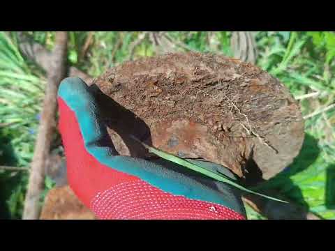 Видео: Продолжаю вести разведку по металлокопу