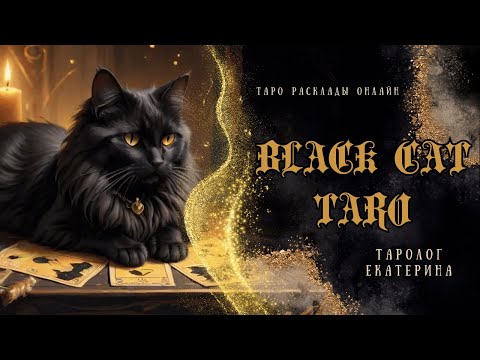 Видео: Black_Cat_TARO Теплый вечер с Таро! Ответы на ваши вопросы в 20:00 МСК