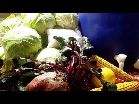 Видео: Домашняя квашеная капуста без химии
