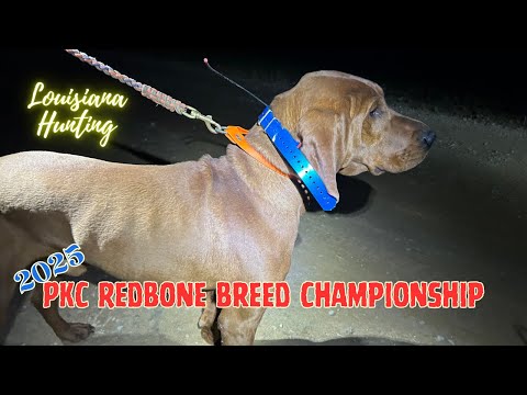 Видео: 25-футовый чемпионат породы PKC Redbone #louisianahunting #raccoon #redbone