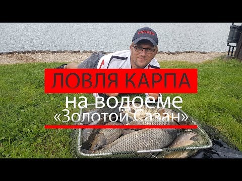 Видео: Захватывающая ловля карпа