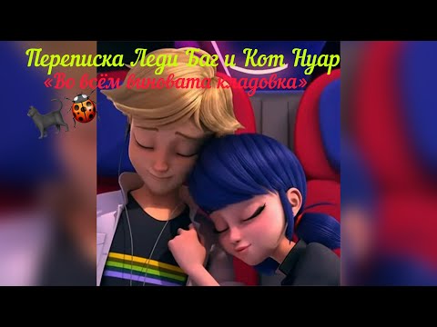 Видео: Переписка Леди Баг и Супер-Кот «Во всём виновата кладовка» 1 часть