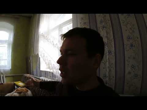 Видео: из дома