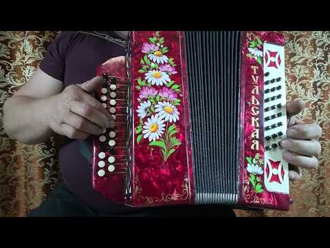 Видео: Фрагмент переборов из Яблочка на гармони!