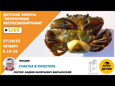 Видео: Детский эфир "Счастье в простоте" курса "Неурочные беспозвоночные" Вадима Марьинского