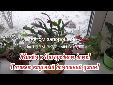 Видео: Живём в Загородном🏡доме/Готовлю😋 #вкусный давно забытый,домашний #ужин Однако выпал снег #vlog #vrec
