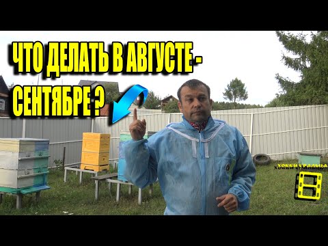 Видео: ПЛАН РАБОТ НА ПАСЕКЕ НА АВГУСТ - СЕНТЯБРЬ. ПОДГОТОВКА К ЗИМОВКЕ ПЧЕЛ ДЛЯ НАЧИНАЮЩИХ ПЧЕЛОВОДОВ 21-21