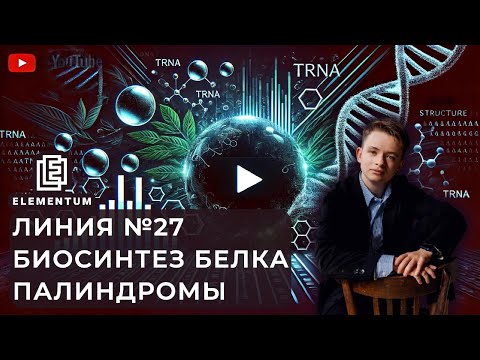 Видео: Алгоритм решения задач на биосинтез белка (линия №27): палиндромы | ЕГЭ по биологии | Elementum