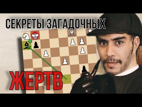 Видео: НЕРЕАЛЬНЫЕ ДЕБЮТЫ И ПОБЕДЫ