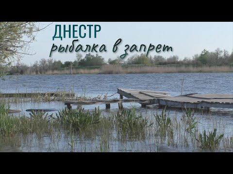 Видео: Днестр. Рыбалка на ФИДЕР 05.05.21