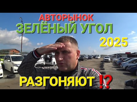 Видео: АВТОРЫНОК РАЗГОНЮТ⁉️ (ЗЕЛЁНЫЙ УГОЛ), ВЛАДИВОСТОК ЦЕНЫ ВИДЕО 2025