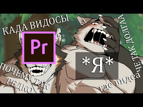 Видео: ПОЧЕМУ ВИДЕО ТАК РЕДКО БЛ-