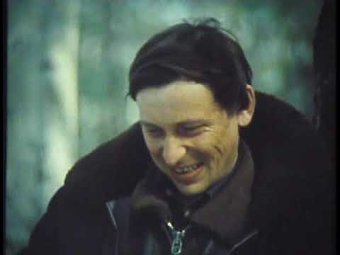 Видео: «Мост»