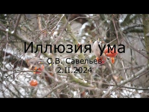 Видео: С.В. Савельев - Иллюзия ума