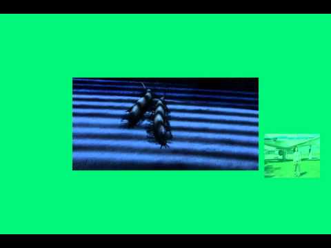 Видео: Атака Клоунов