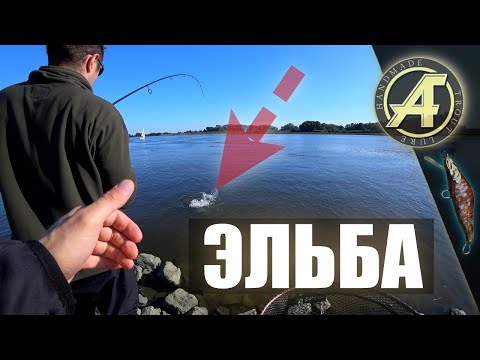 Видео: Рыбалка на реке Эльба. Босыми ногами, по холодным камням!