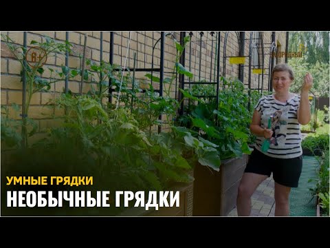 Видео: Необычные грядки / Умные грядки