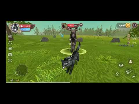 Видео: 23 октября 2025 г.