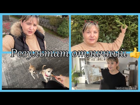 Видео: Ковры после чистки,отличный результат,рассказала рецепт сала в пиве,шкурку любите? распаковка с Temu