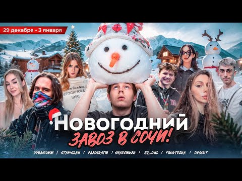 Видео: IRL: НОВОГОДНЯЯ ЗАВОЗНЯ В СОЧИ | SHADOWKEKW, STROGO, GAECHKATM, BY_OWL
