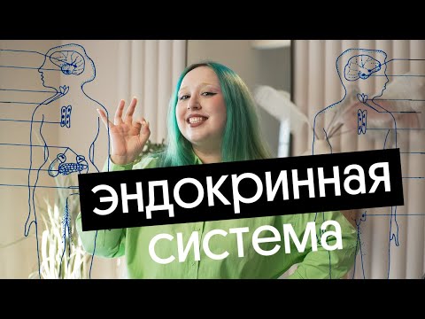 Видео: ГУМОРАЛЬНАЯ РЕГУЛЯЦИЯ ДЛЯ ОГЭ ПО БИОЛОГИИ | ЭНДОКРИННАЯ СИСТЕМА