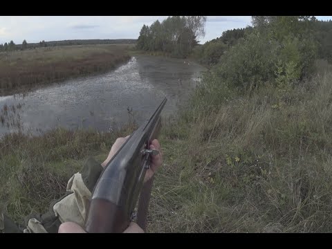 Видео: Осенняя охота с подхода 2025