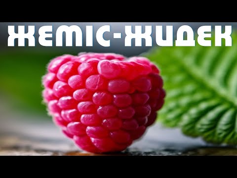 Видео: Жемістер, Көкөністер, Жидектер | 2–3 Жас Балаларға Қазақша Сөздер