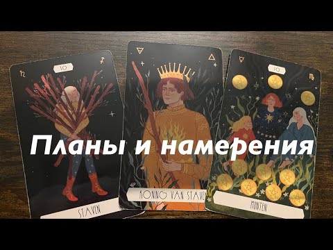 Видео: Его планы и намерения ❤️❤️❤️