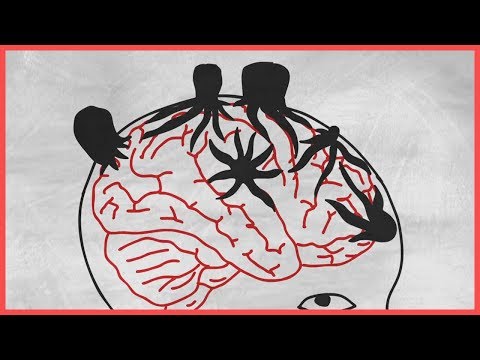 Видео: Edu: Почему так трудно вылечить рак?