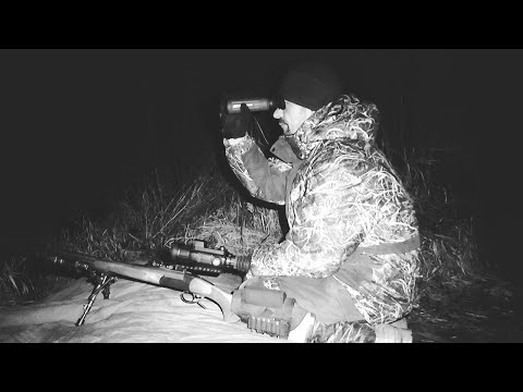 Видео: ОХОТА НА БОБРА С ПРИЦЕЛОМ SFH VARG H50RL PRO