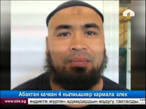 Видео: Абактан качкан 4 кылмышкер кармала элек
